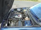 DSC00640.webp