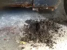 2018-07-28 140415-2839717.webp