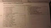 13169987_10153376778346595_527995589_o.webp