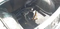 c0f556e70c25.webp