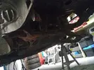 IMG_20211013_211246881.jpg