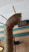 20170318_155312.webp