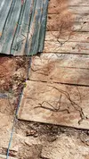 20170402_134417.webp