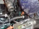 P4060031.webp