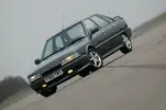 sibley1.webp sibley1.webp