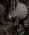 200.gif