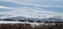 20230122_090439.jpg
