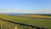 20240727_203827.webp