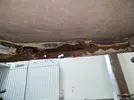 IMG-20240319-WA0004.webp