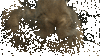 31.media.tumblr.com_0e565573f30d58622291eb619caf60ba_tumblr_mhruo7cR2X1rtpfpio1_400.gif