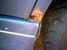 www.renault_turbo.com_chris_blue_20chammy_rust_2002.webp