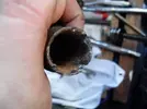 www.renault_turbo.com_chris_F7R_f7r_20water_20pipe_2002.webp www.renault_turbo.com_chris_F7R_f7r_20water_20pipe_2002.webp