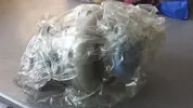 20150619_183631.webp