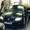 ute386bhp281ft.webp