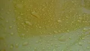 DSC_4611.webp