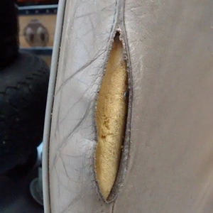 seats3.jpg