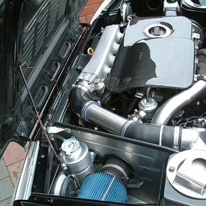 DSCF0214.JPG
