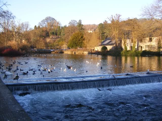 DSCF5384.jpg