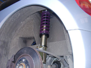 aragosta_v6_02l.jpg
