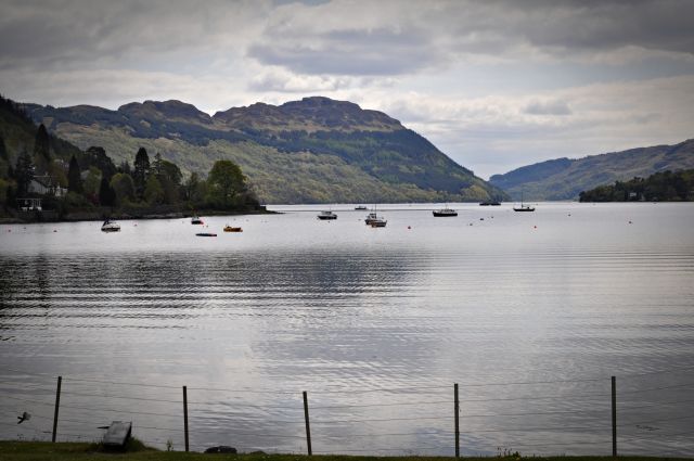 DSC_0326.jpg