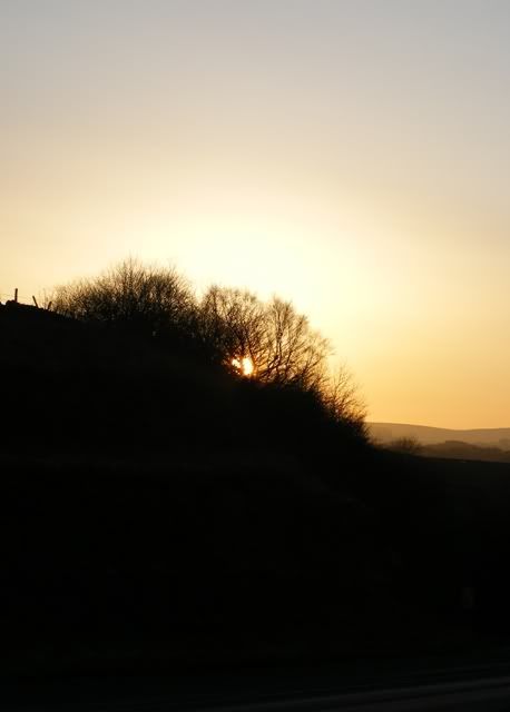DSCF5397.jpg