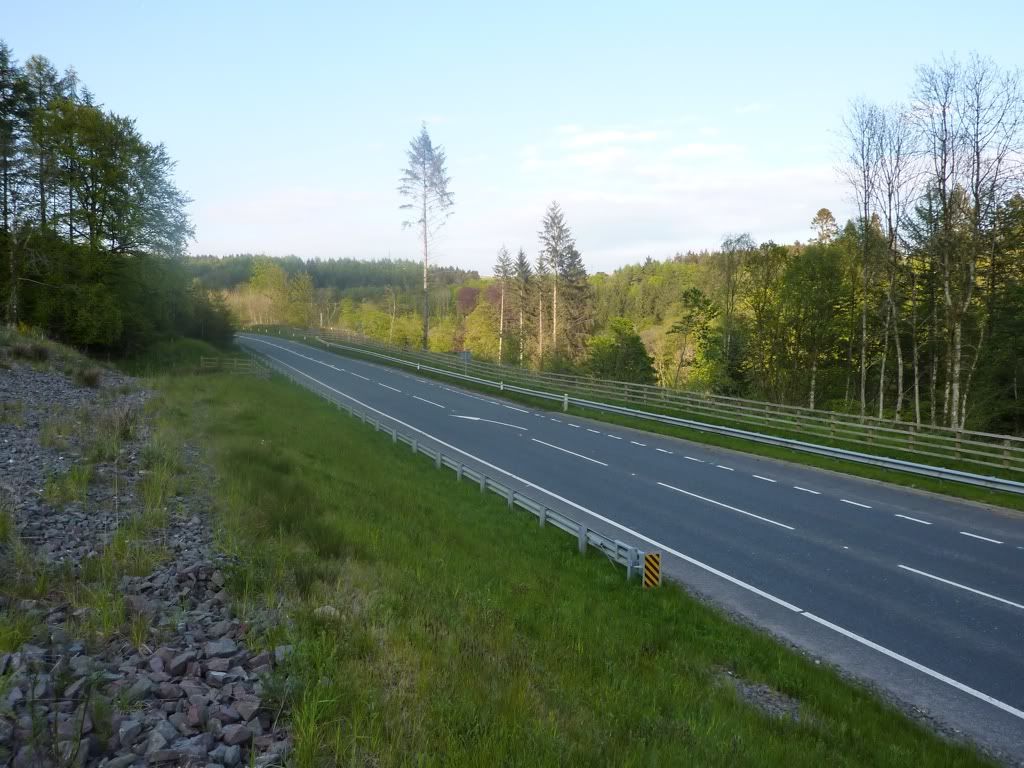 68259616.jpg