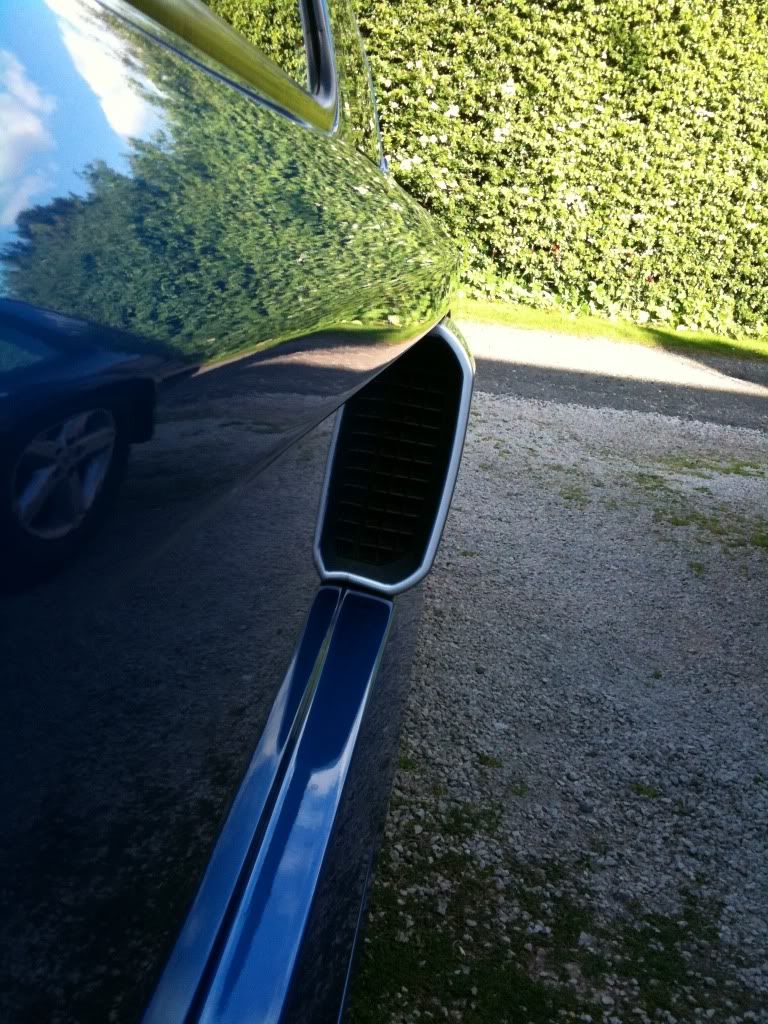 d84d020d.jpg