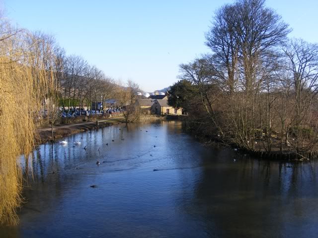 DSCF5380.jpg