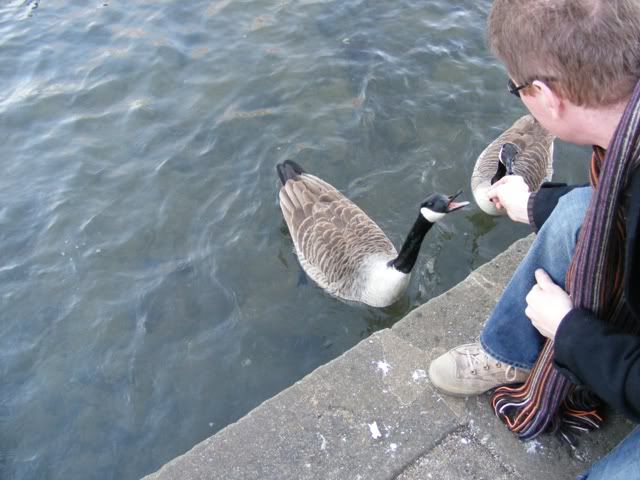 DSCF5388.jpg