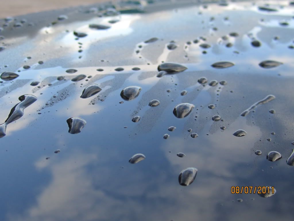bigcleanup076.jpg