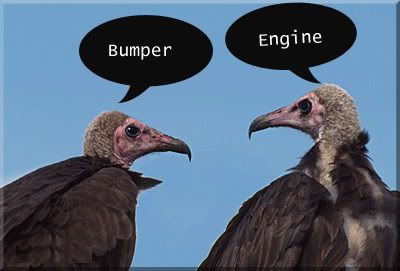 vultures.jpg