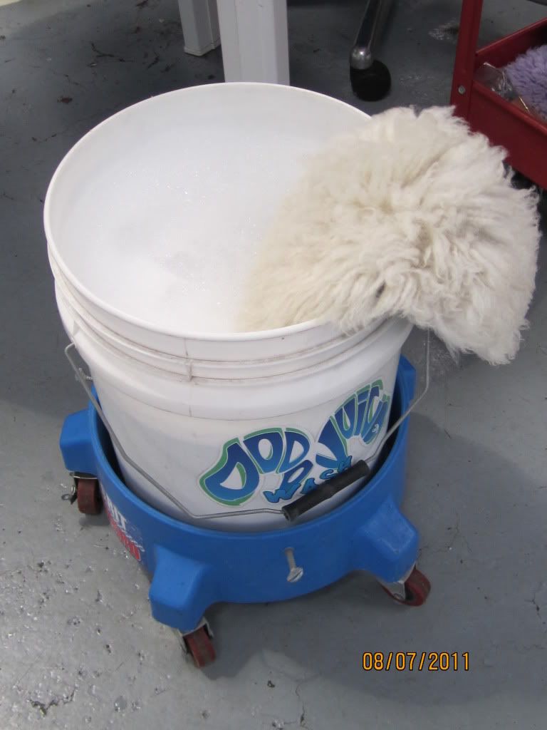 bigcleanup031.jpg