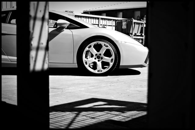 lambo4.jpg