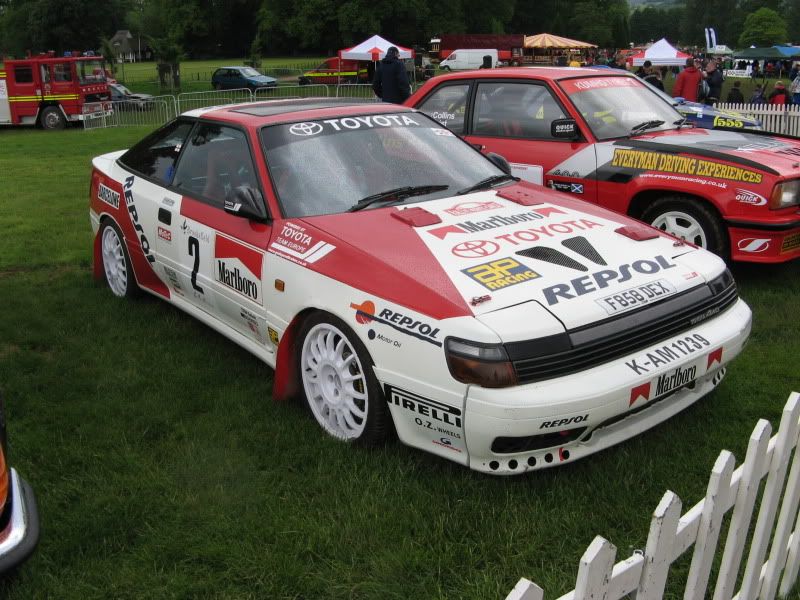 st165.jpg