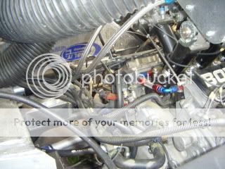 CopyofDSCF3509.jpg