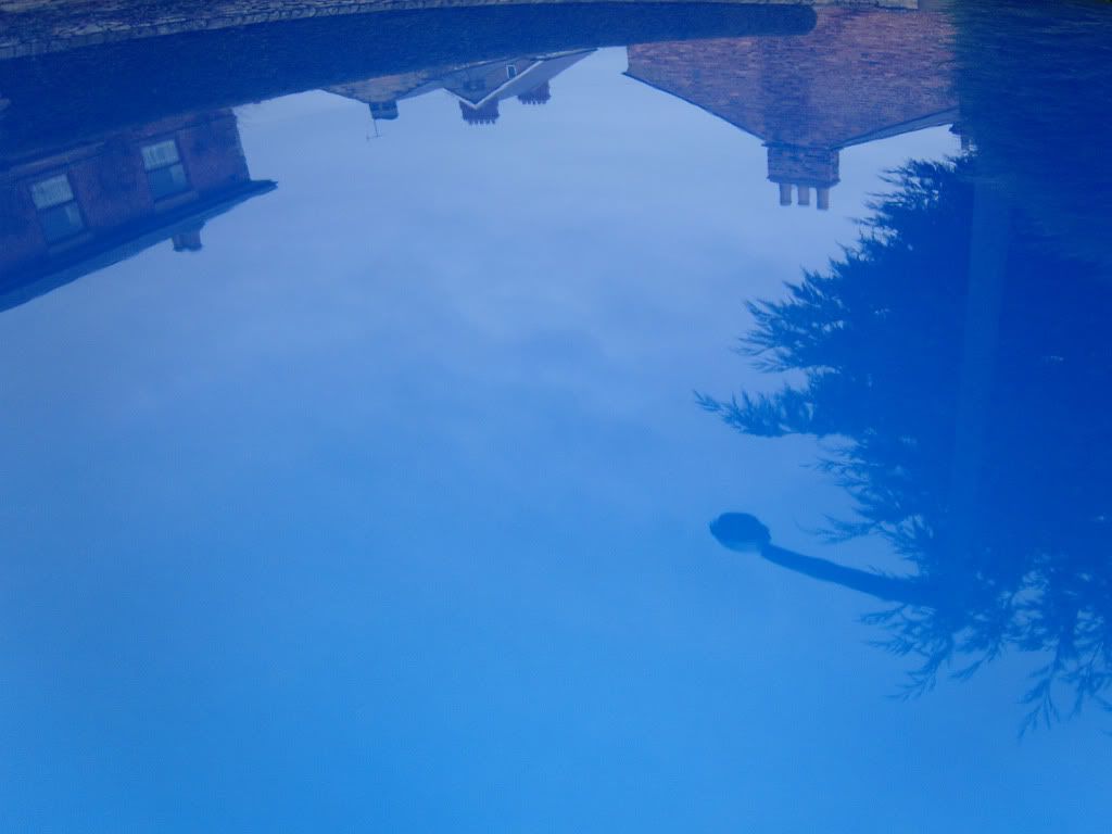 RoofReflection.jpg