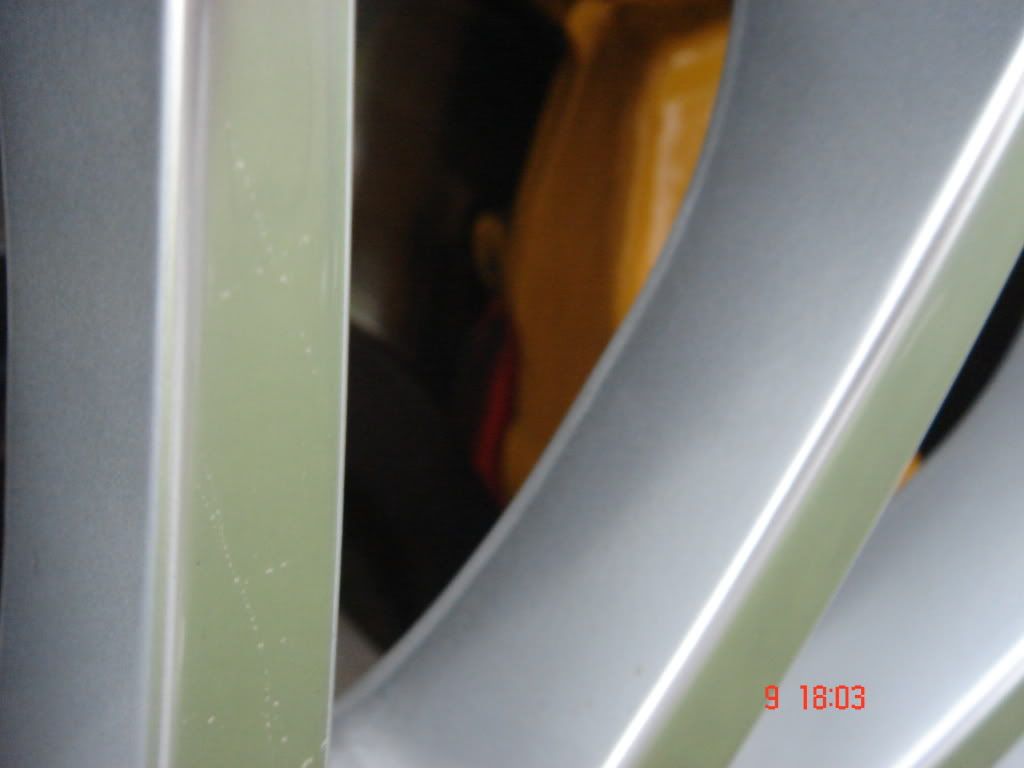 DSC01012.jpg