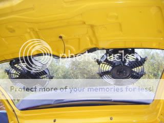 DSCF3511.jpg