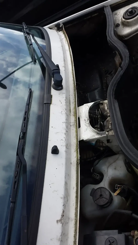 20160717_122405.webp